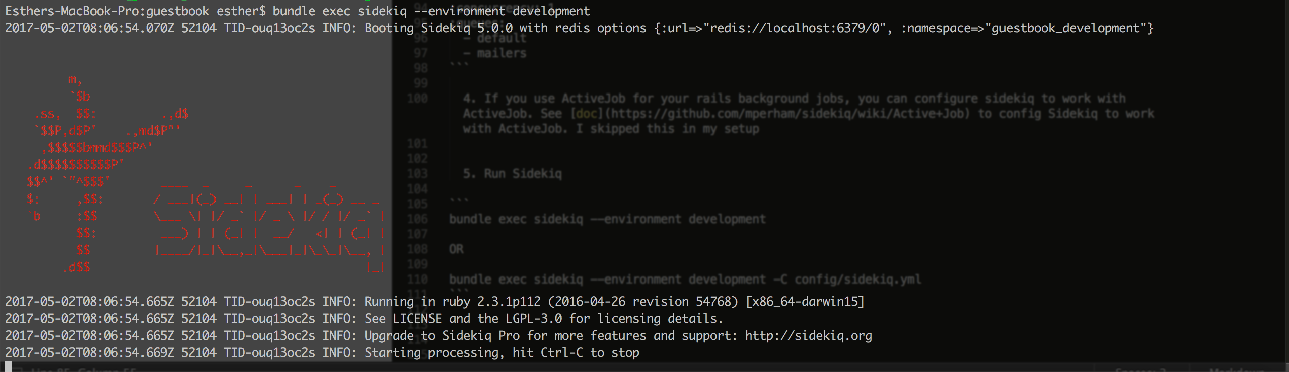 sidekiq exec screenshot